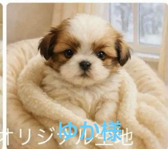 ご確認用　りんりん様パネル　シーズー柄　ハンカチ　ハンドメイド12/14