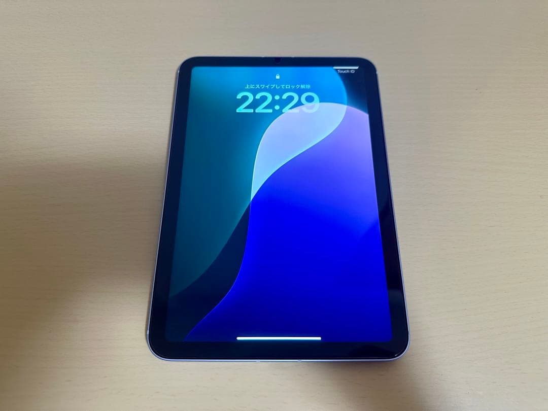 iPad本体 iPad mini(A17Pro) WiFi+Cellular 512GB