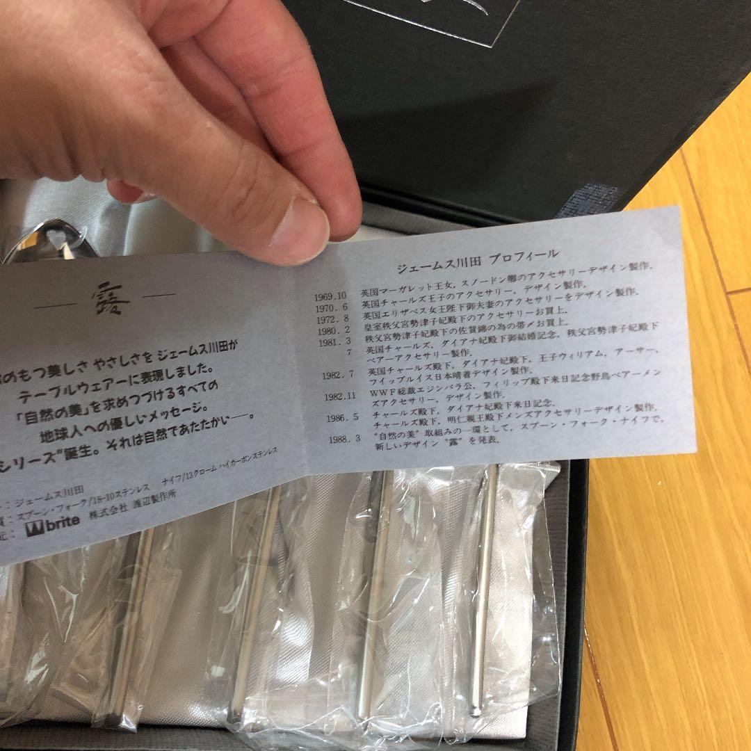 露　ジェームス川田　スプーンセット