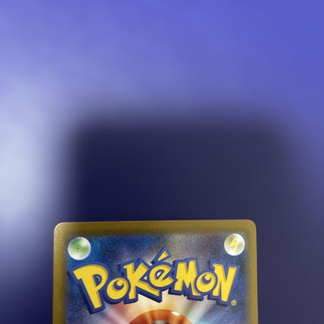 は*い様 メガルカリオex SAR