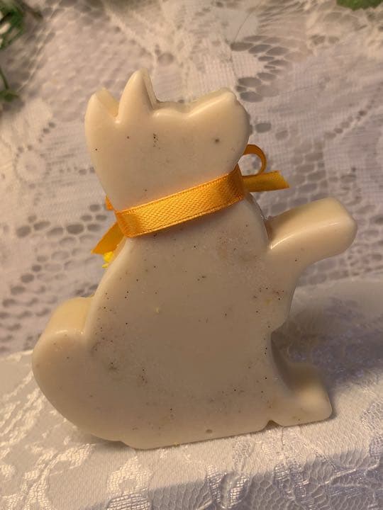 NO61 冬でも元気❤️柴犬ちゃんᒼᑋªⁿ❤︎*