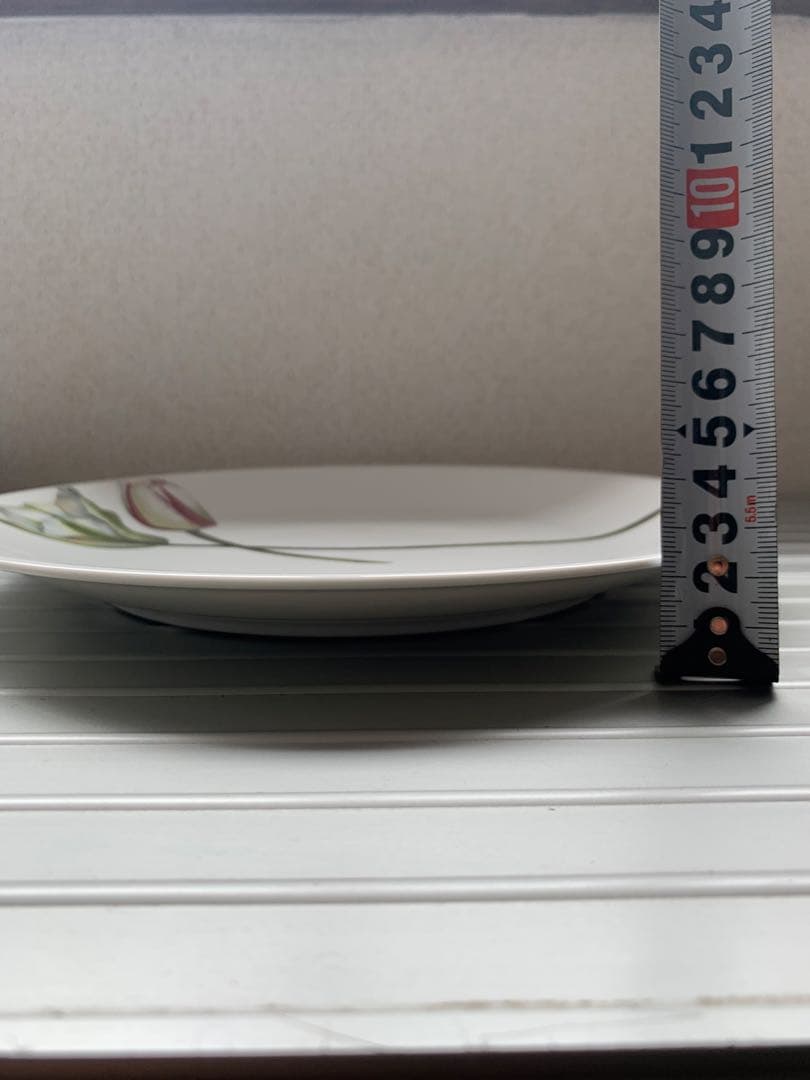 未使用 driadeの皿 ６枚セット