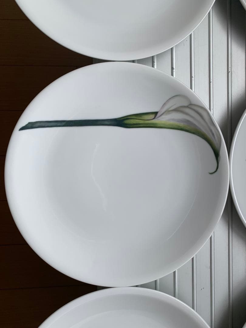 未使用 driadeの皿 ６枚セット