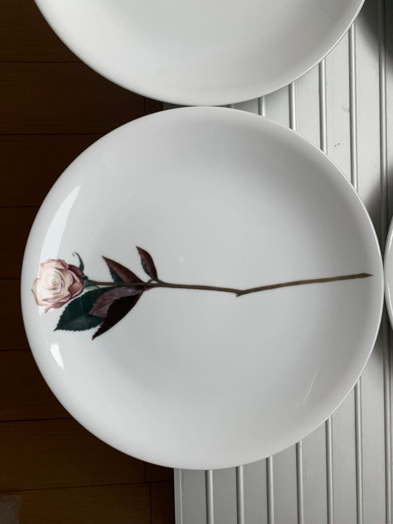 未使用 driadeの皿 ６枚セット