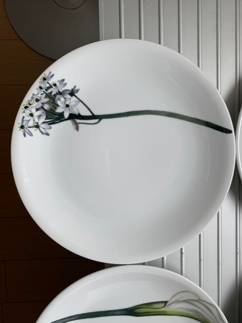 未使用 driadeの皿 ６枚セット