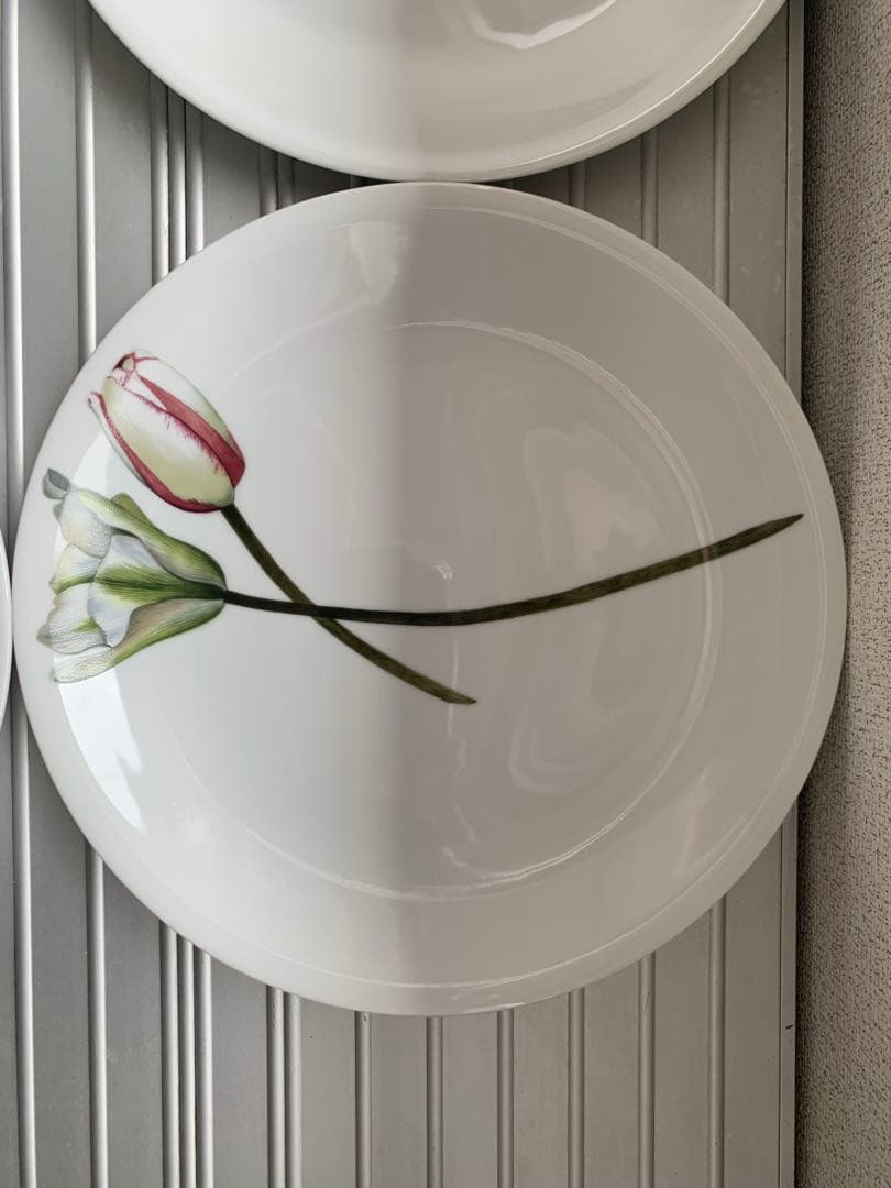 未使用 driadeの皿 ６枚セット