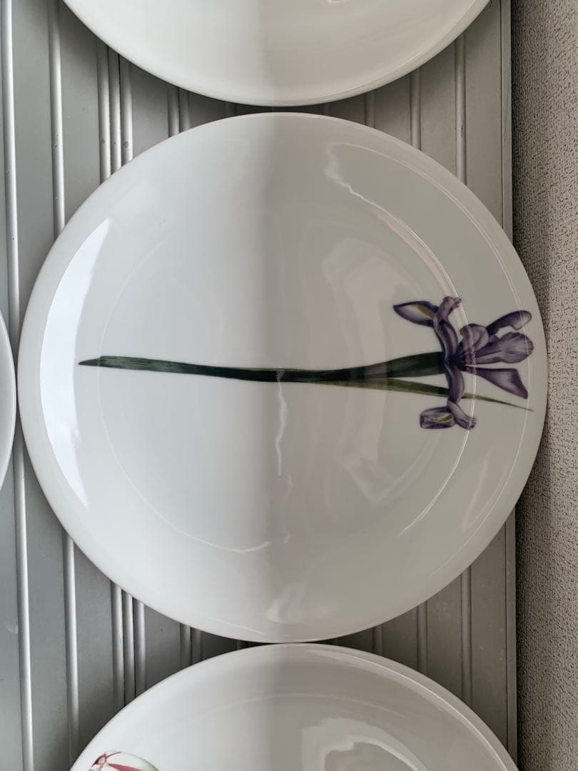 未使用 driadeの皿 ６枚セット