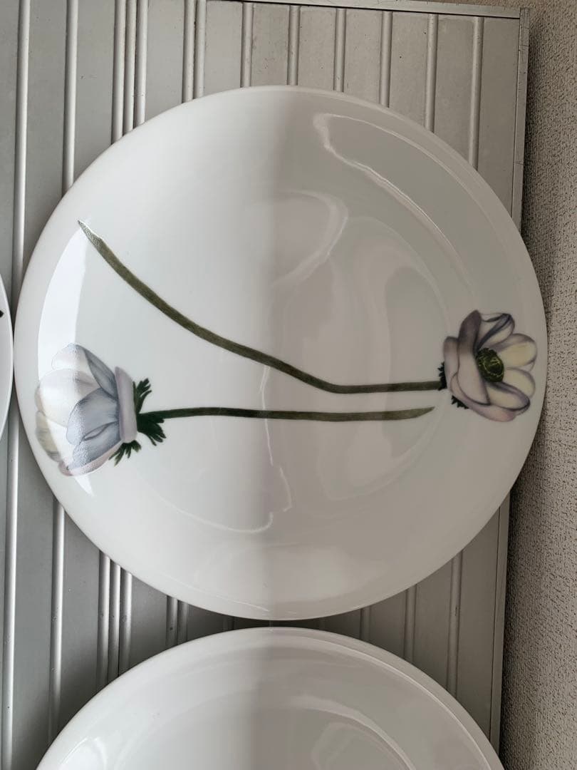 未使用 driadeの皿 ６枚セット