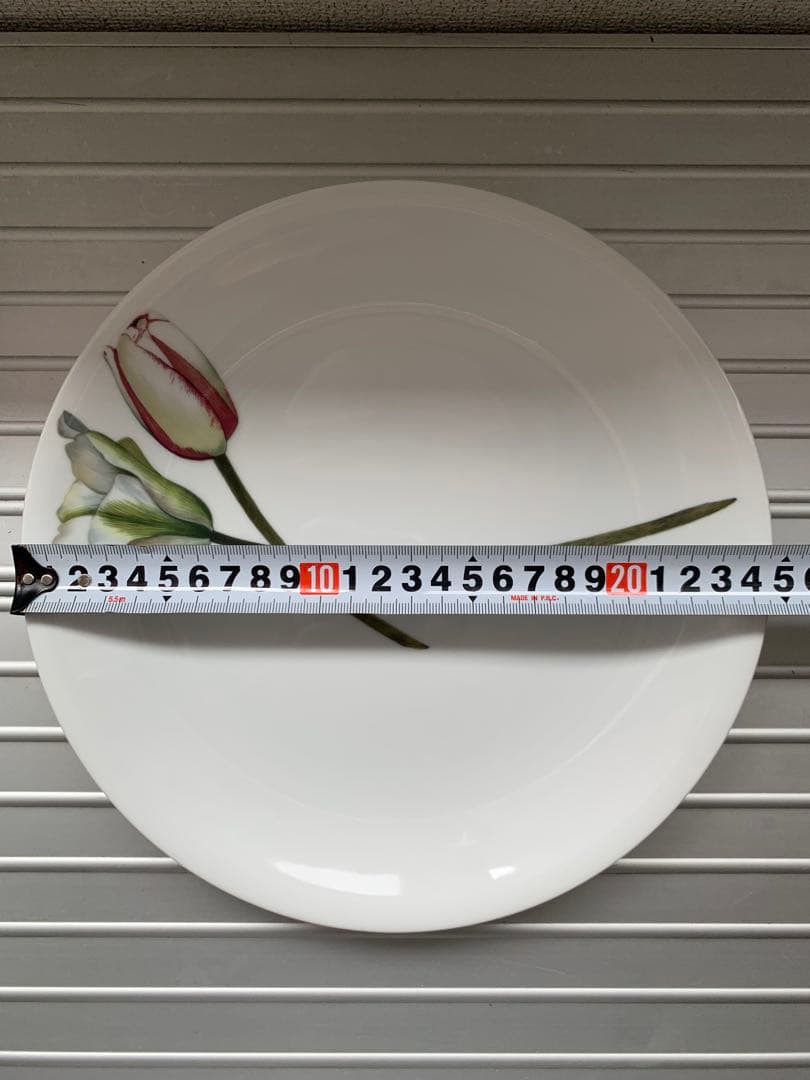 未使用 driadeの皿 ６枚セット