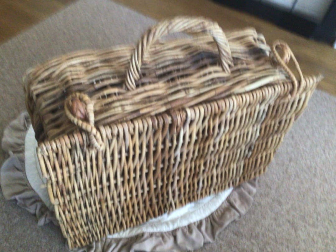 アラログ　ラタントランク　籐　大きいバスケットL