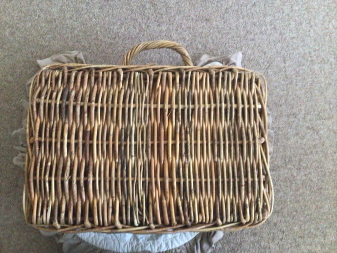 アラログ　ラタントランク　籐　大きいバスケットL