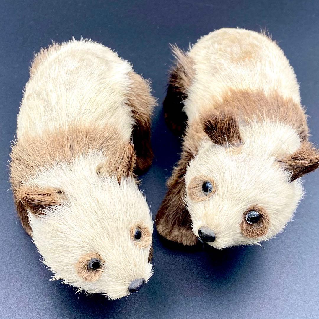 【骨董品】 リアルなパンダの置き物 2体セット 昭和レトロ アンティーク