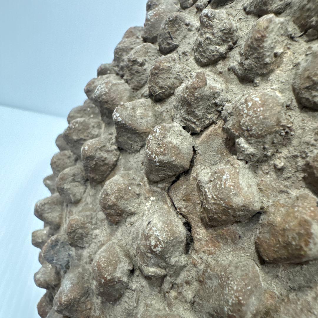 値下済 希少 アフリカ民芸風 ドリアン土器一輪挿し プリミティブアート オブジェ