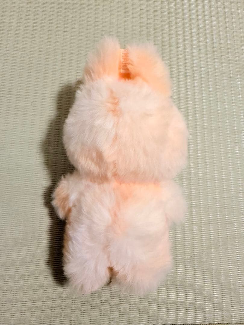 ポップマート　ラブブ　energy エナジー　エビフライ　セット売り