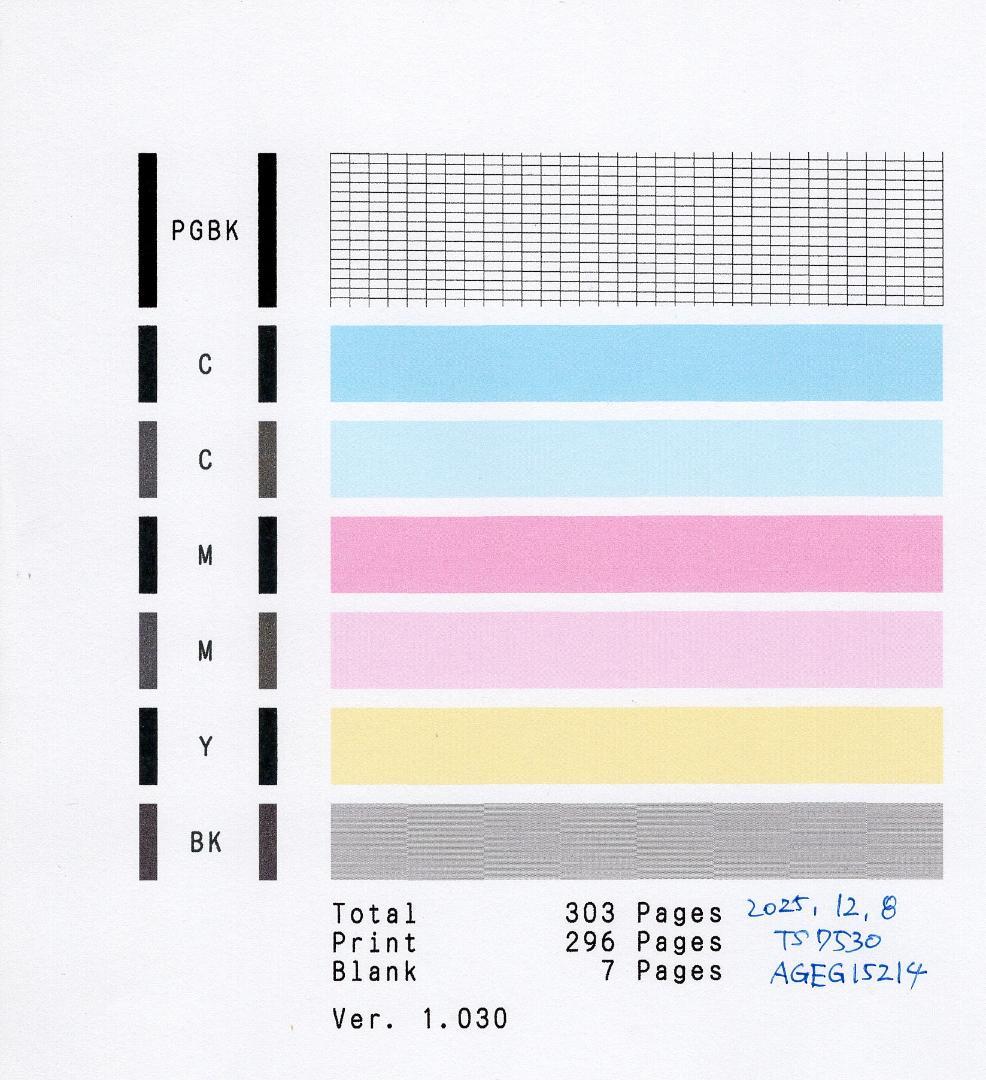 印刷枚数少！ Canon インクジェット複合機 TS7530 印刷テストOK