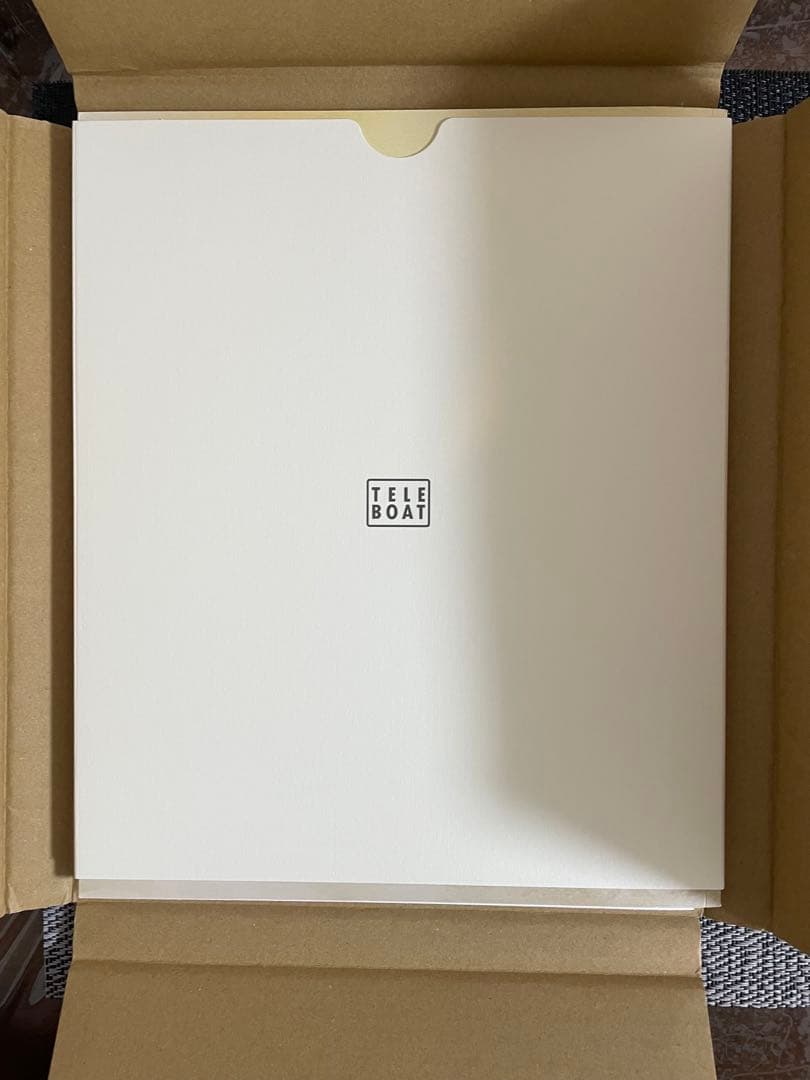 五十恩 TELEBOAT A4サイズ