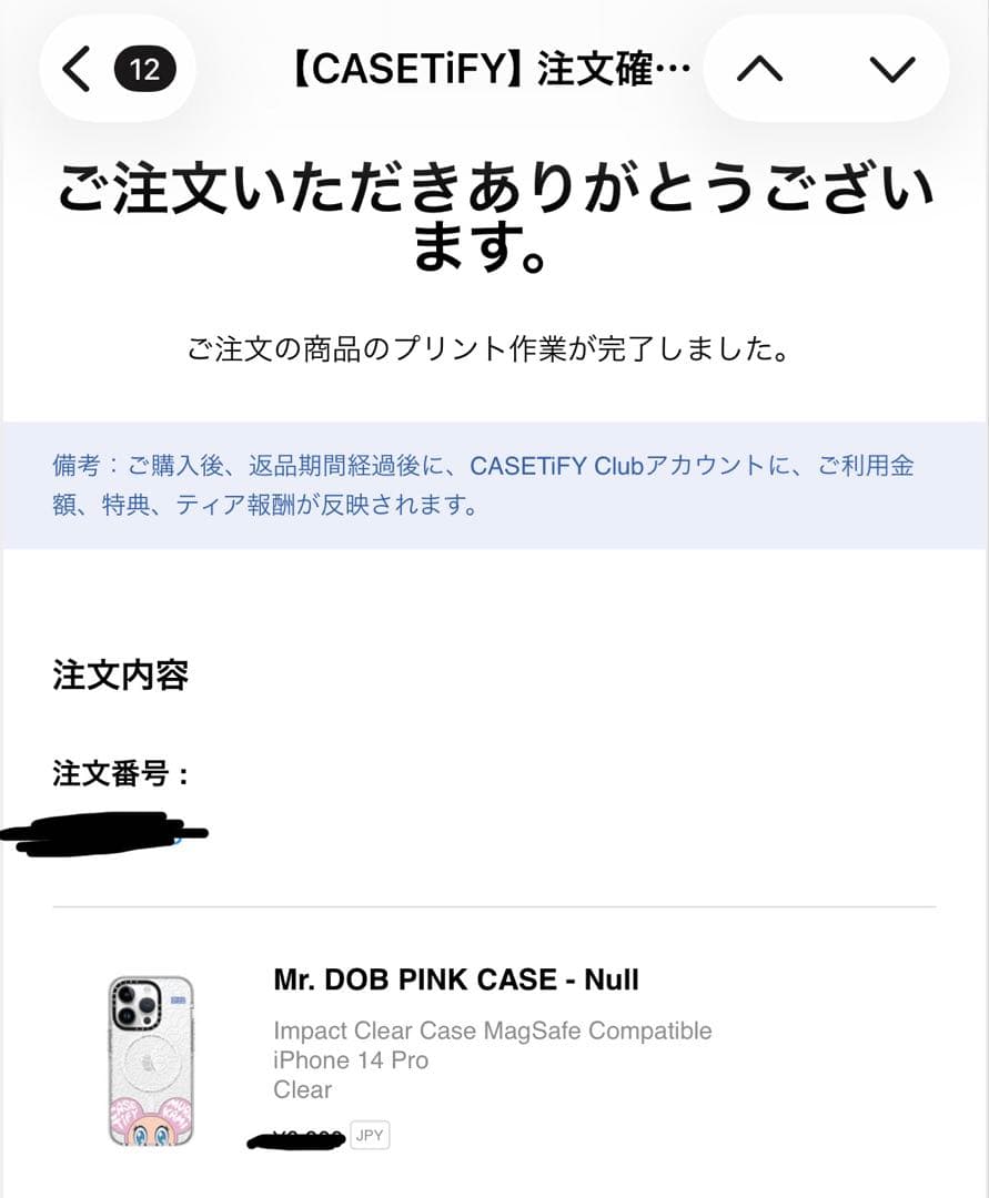 CASETiFY 村上隆　iPhone 14 Pro ケース