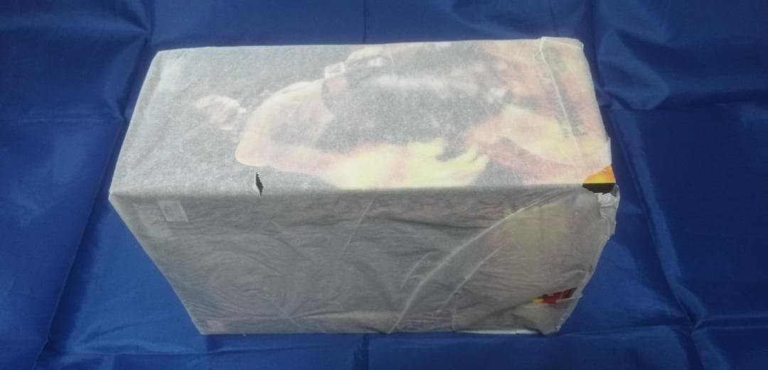 ワンピースP.O.P LIMITED ポートガス・D・エース Ver.1.5別注