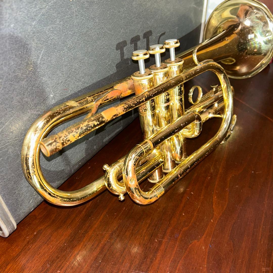 ま*つ様 コルネット