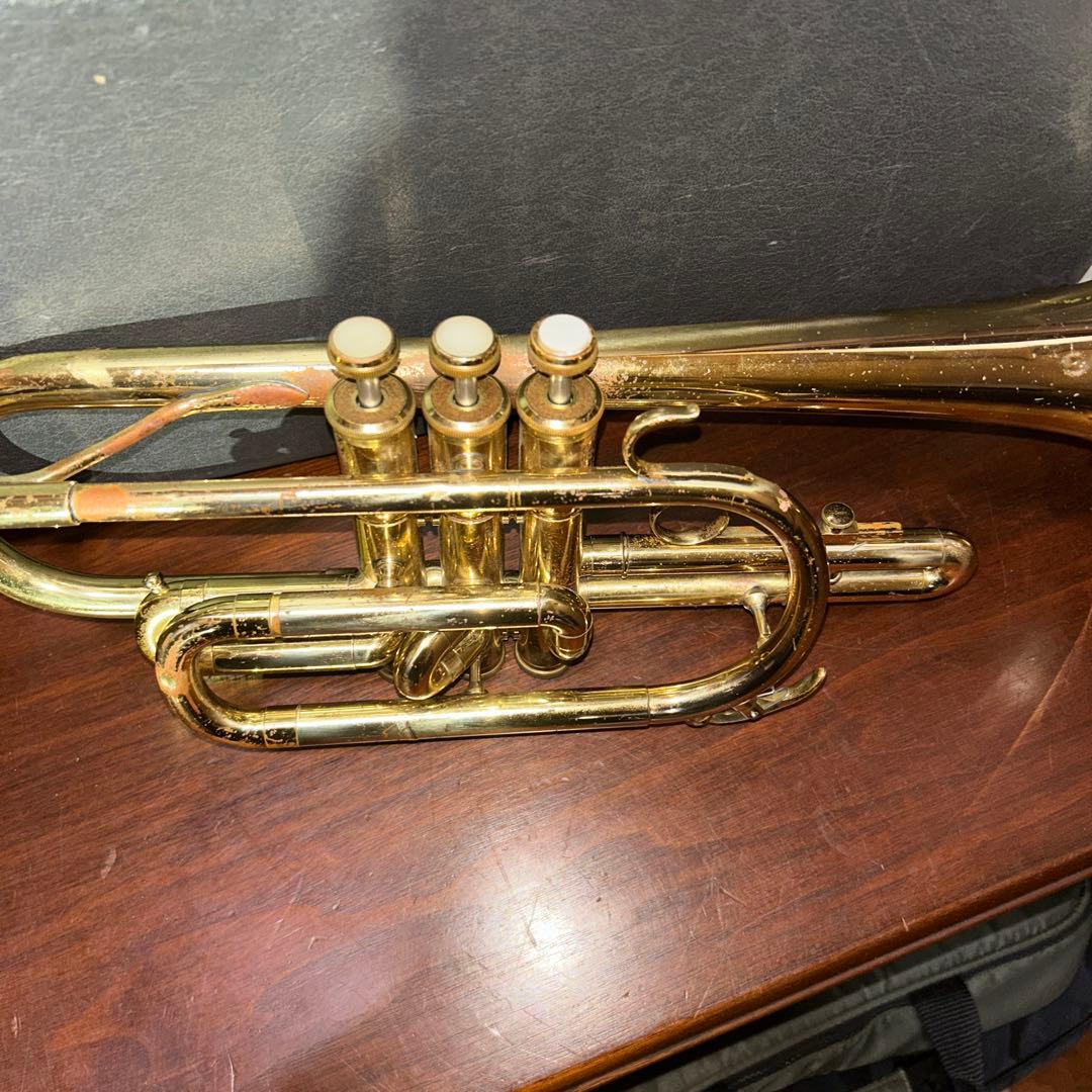 ま*つ様 コルネット