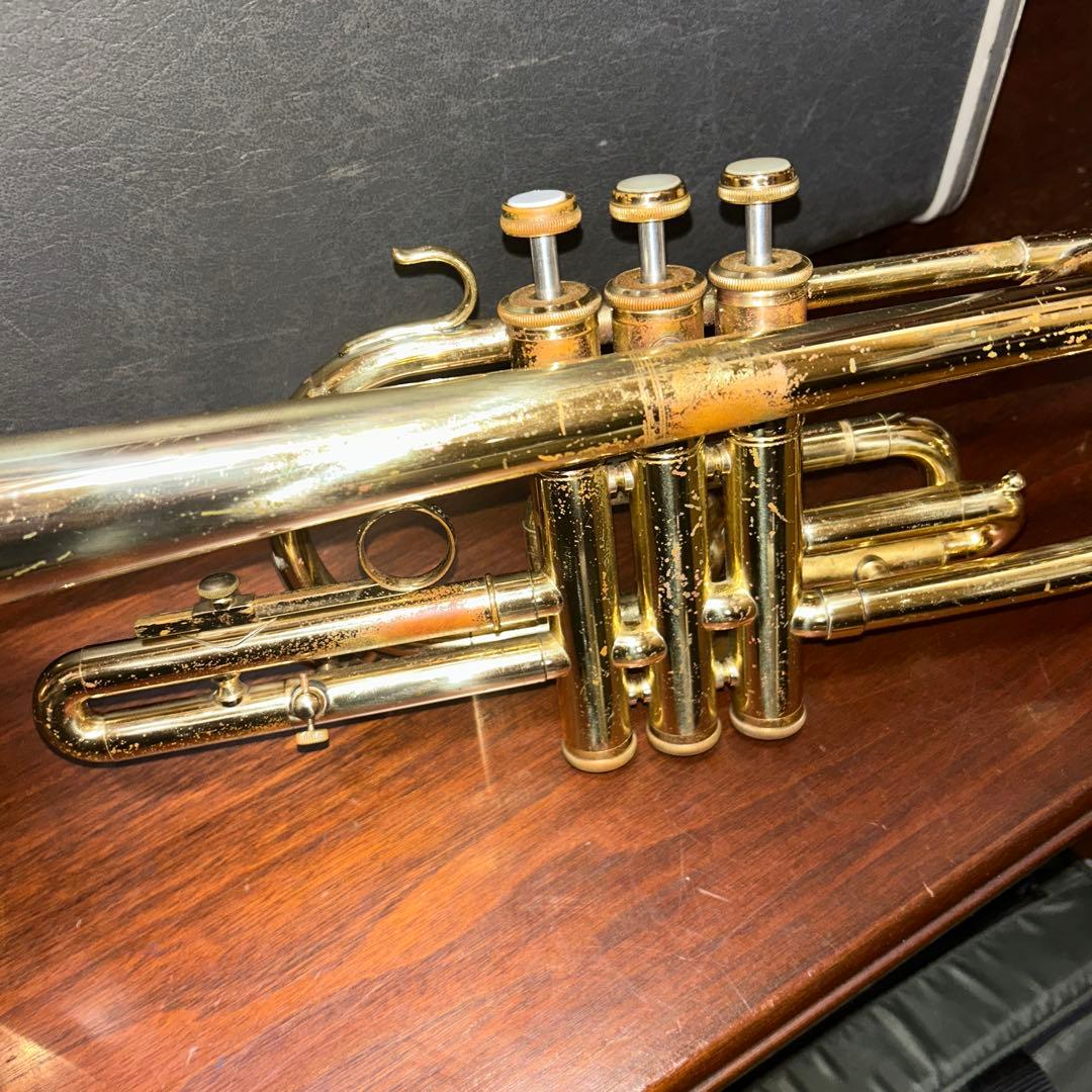 ま*つ様 コルネット