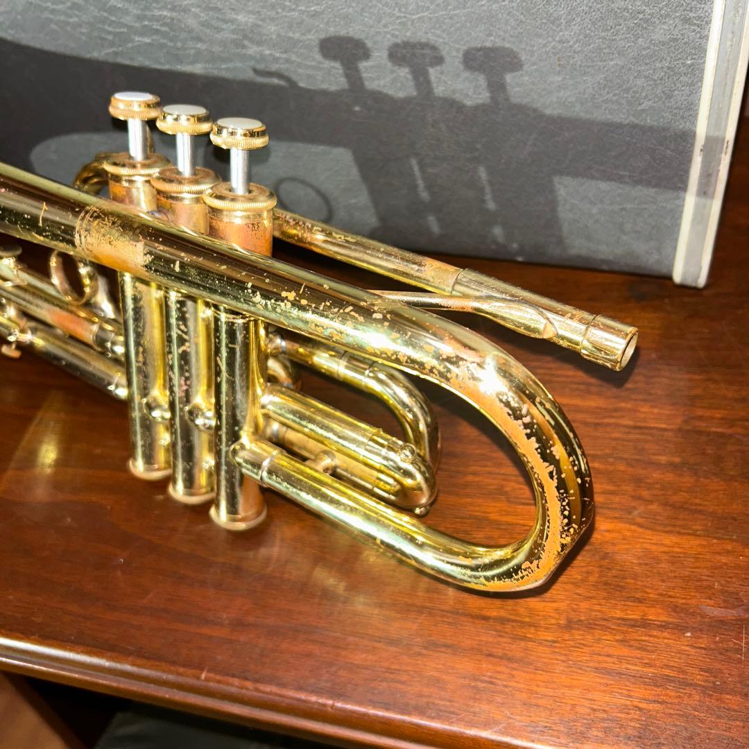 ま*つ様 コルネット