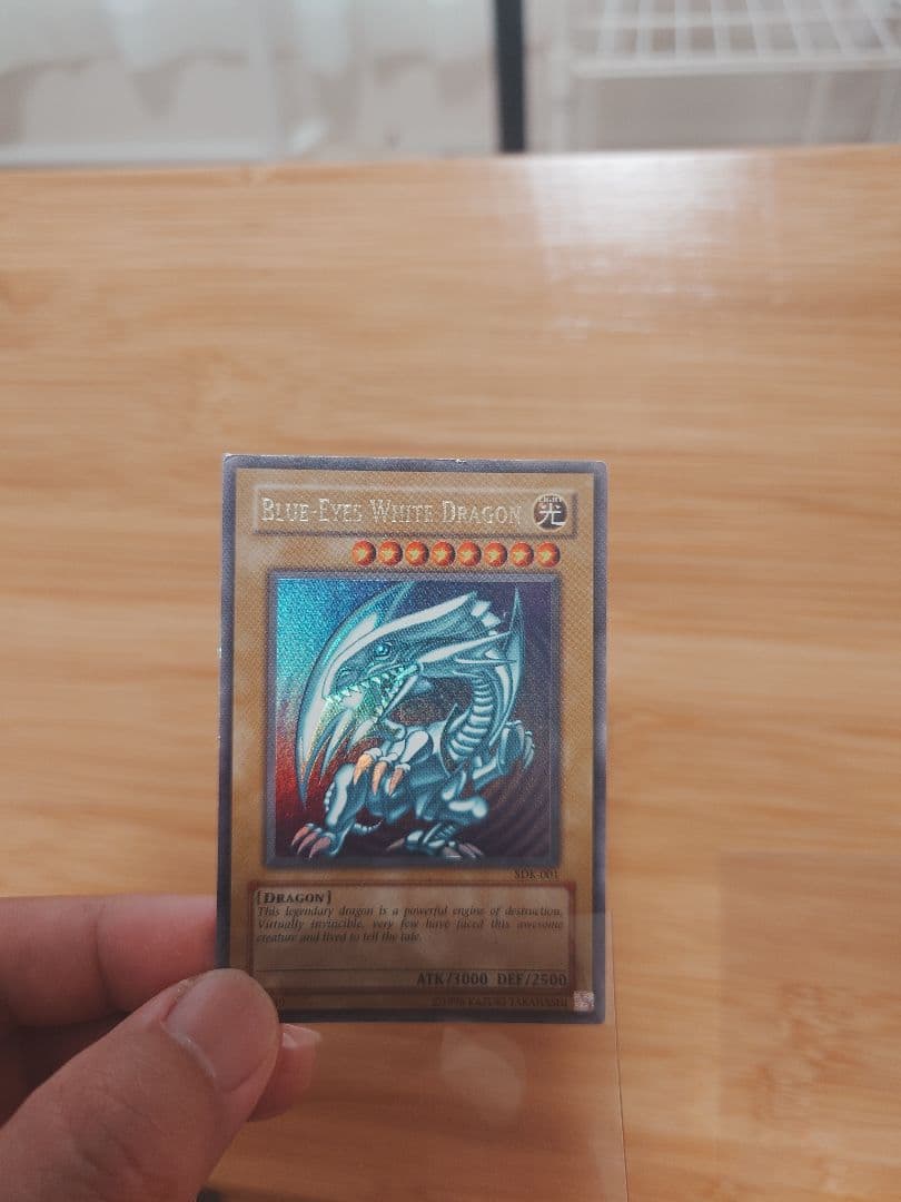 遊戯王　北米　青眼の白龍sdk 　wave