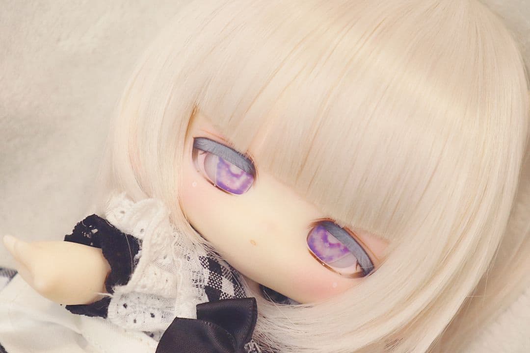 大きい子犬わたあめ フルセット