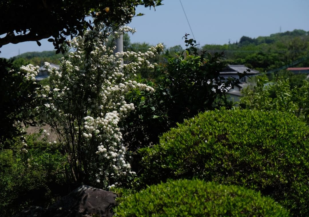 【美品】富士フィルム　XF 18-55mm F2.8-4 R LM OIS