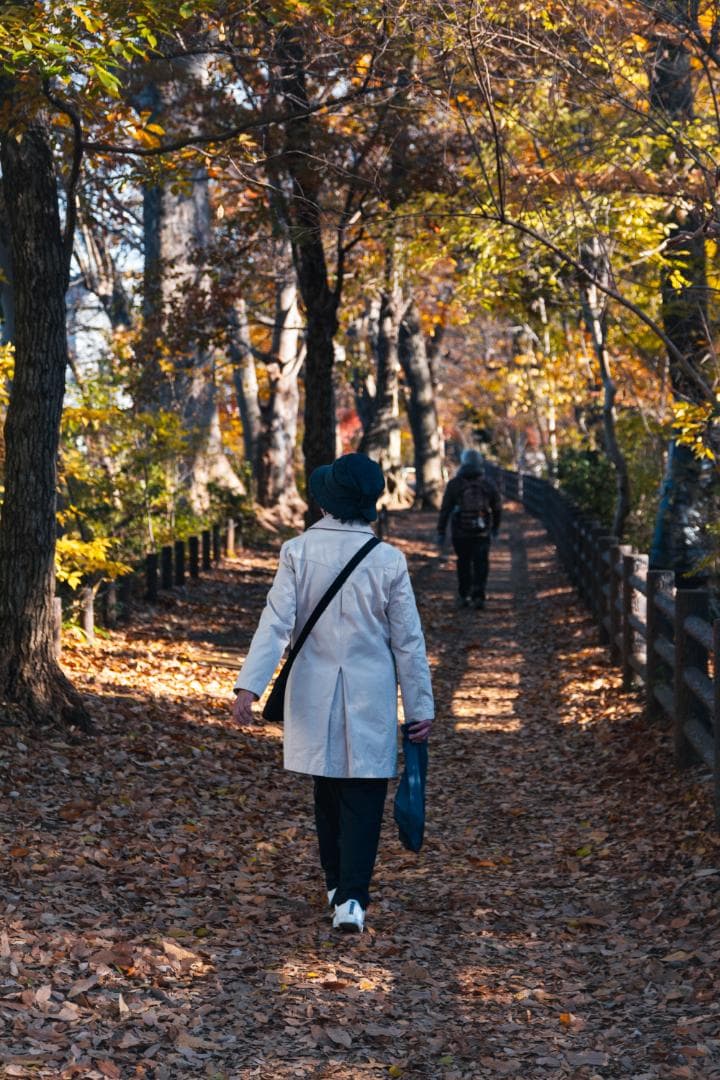 SIGMA 17-70 F2.8-4 DC Contemporary ニコン