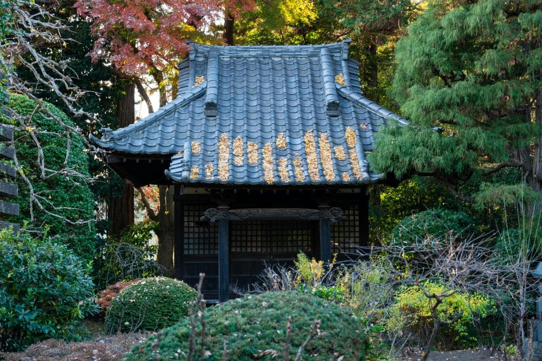 SIGMA 17-70 F2.8-4 DC Contemporary ニコン