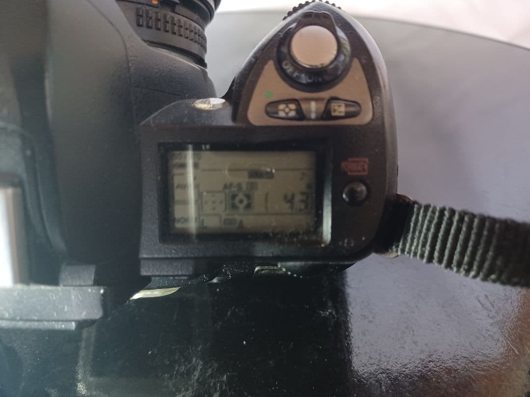 Nikon D70 レンズ付き