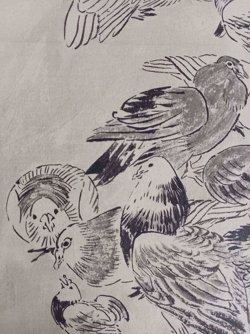 EDOYA　水墨画　オリジナル原画 江戸期　鳥群姿図　裏打ち済み