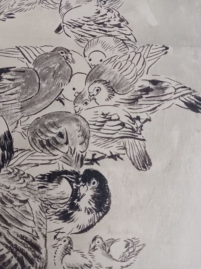 EDOYA　水墨画　オリジナル原画 江戸期　鳥群姿図　裏打ち済み