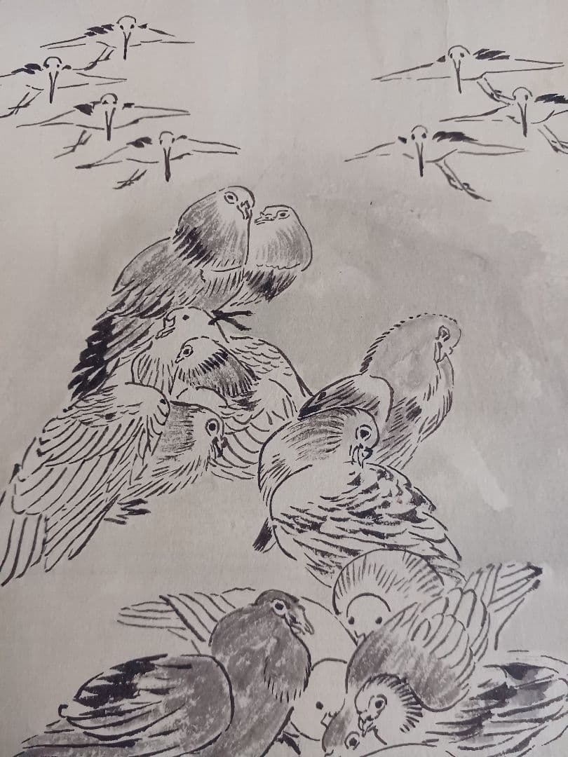 EDOYA　水墨画　オリジナル原画 江戸期　鳥群姿図　裏打ち済み