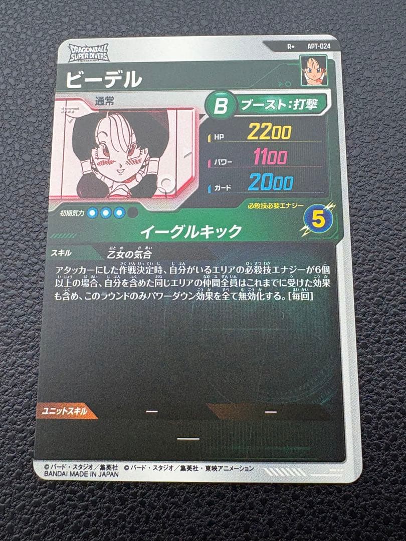 ダイバーズ アドバンスパック APT-024 ビーデル R パラレル