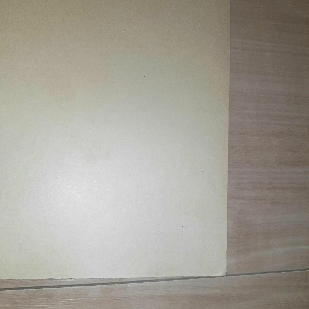 中森明菜 直筆 サイン 色紙 稀少