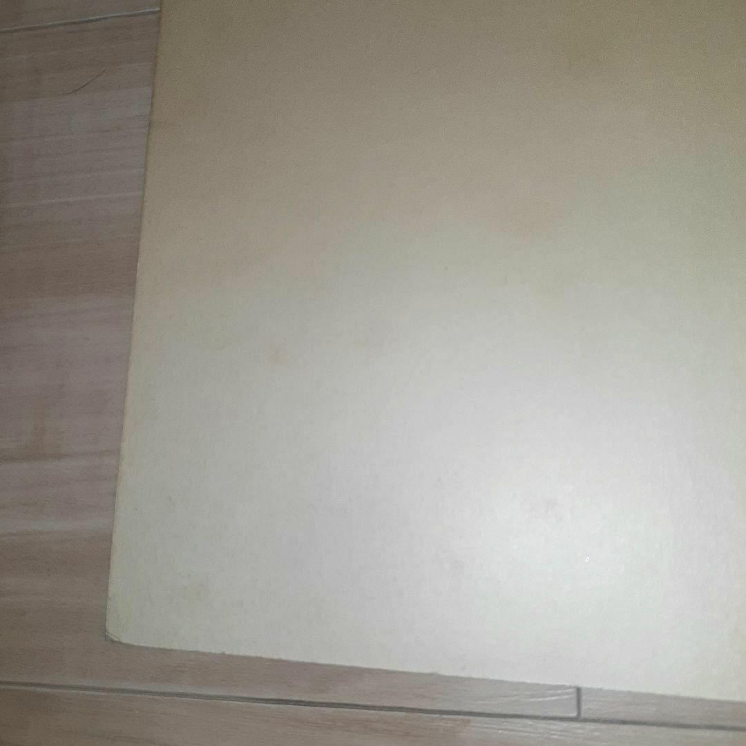 中森明菜 直筆 サイン 色紙 稀少