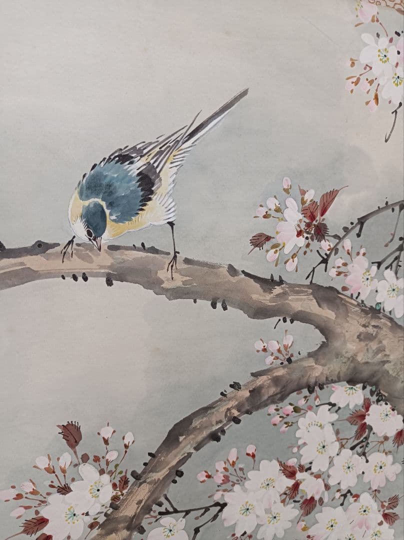 梅甫 軸 縁起 おもてなし 絵 桜 花鳥 茶 京都 中国 美術 インテリア