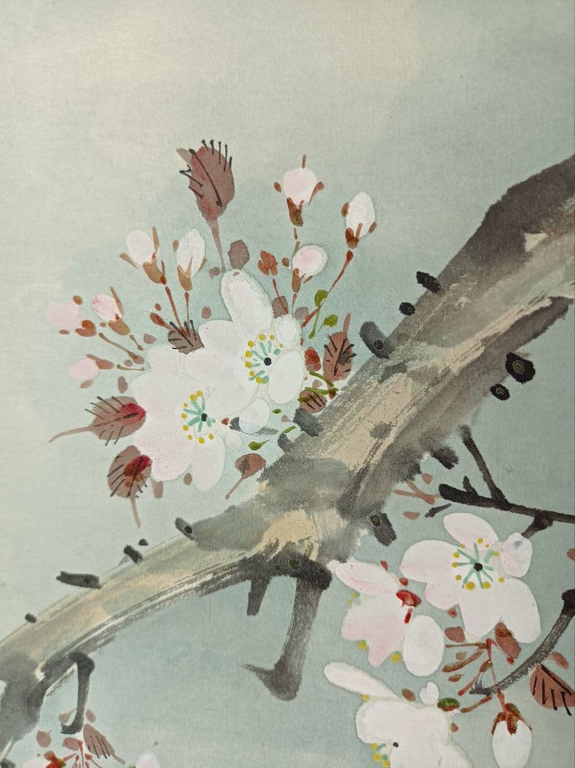 梅甫 軸 縁起 おもてなし 絵 桜 花鳥 茶 京都 中国 美術 インテリア