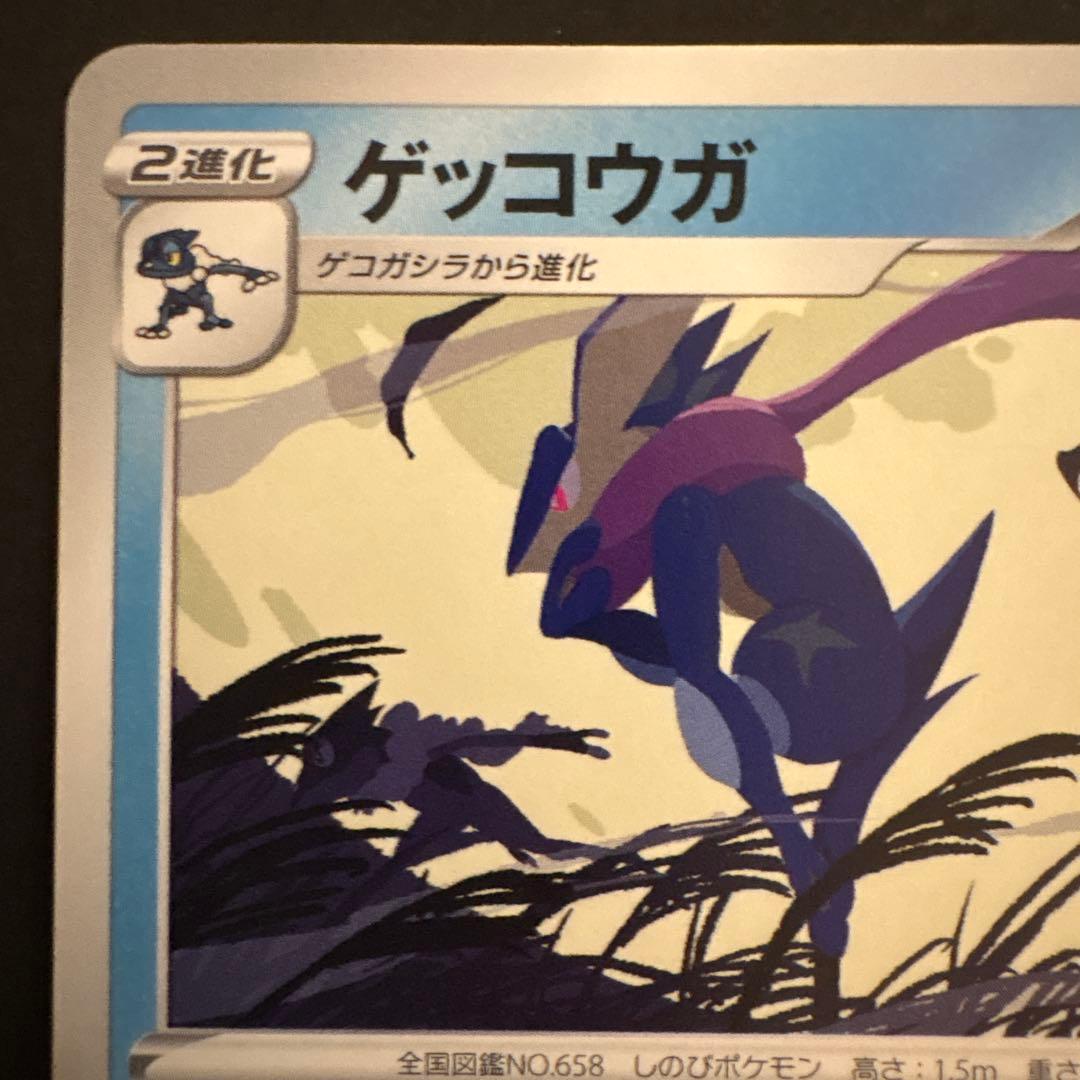 ゲッコウガ：Pokémon Trading Card Game イラストレーシ…