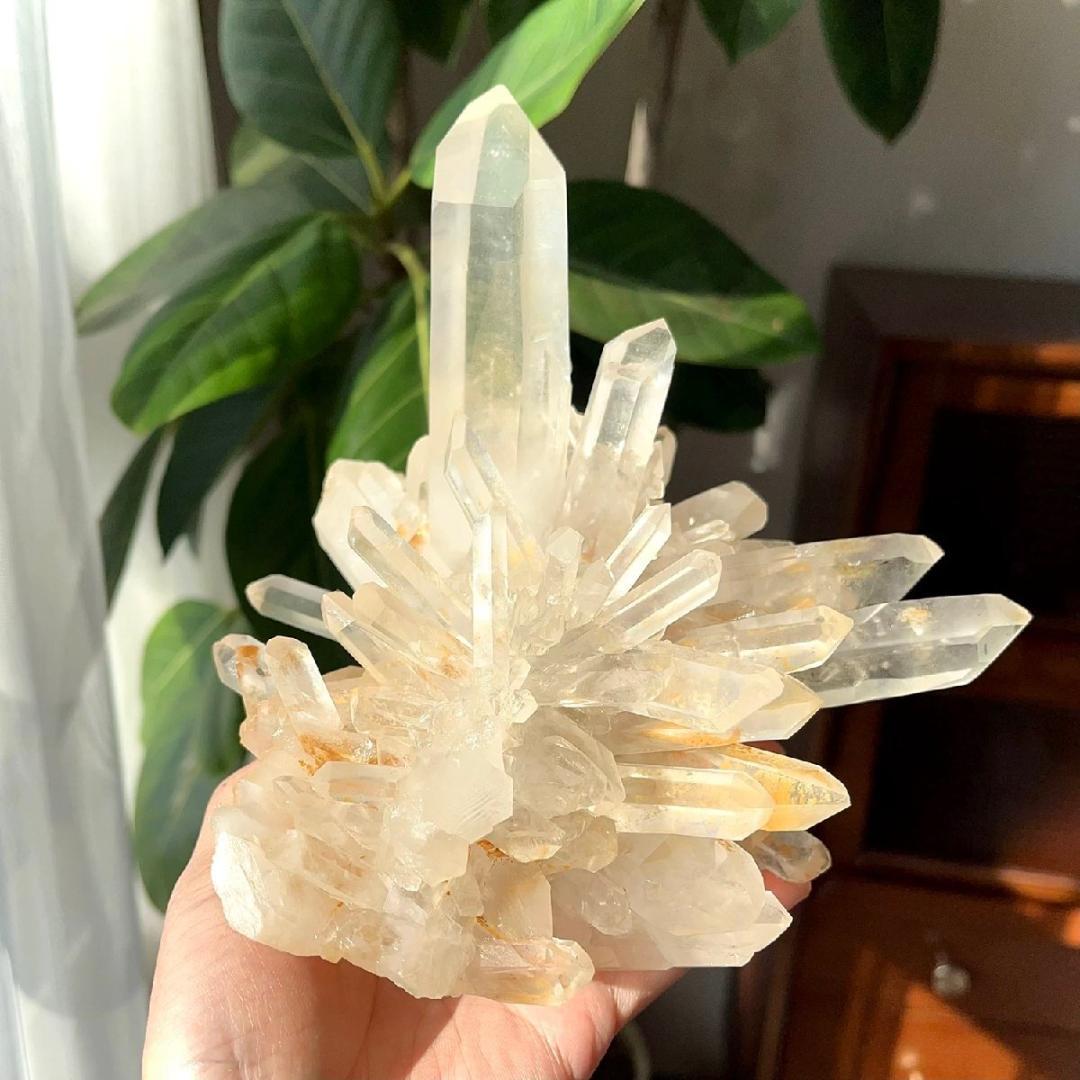 1600g AAAAAAAAA級☆天然水晶クラスターB0226/YS/780C