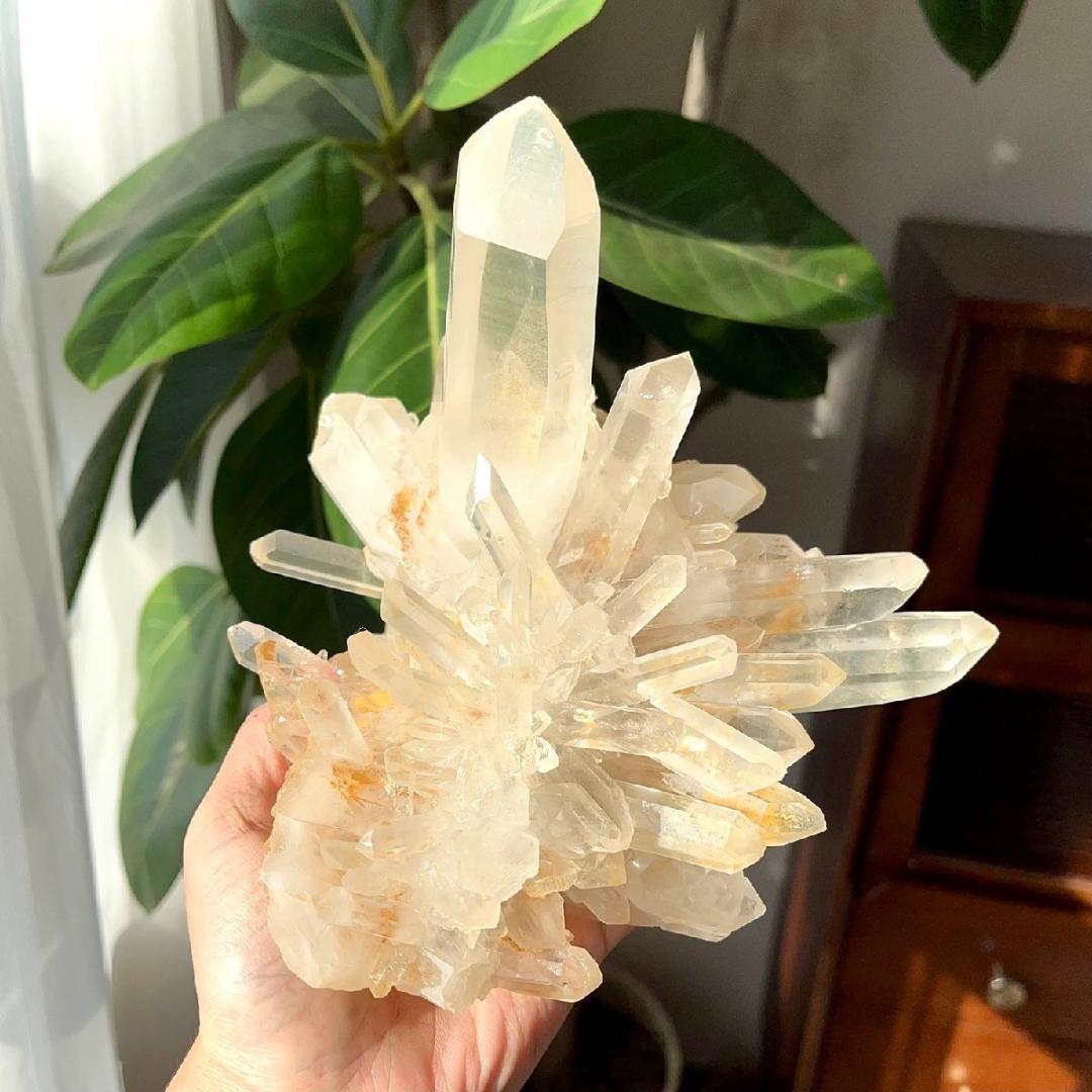 1600g AAAAAAAAA級☆天然水晶クラスターB0226/YS/780C