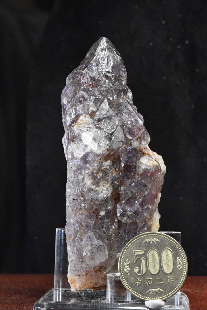 在庫処分！ モンドアメジスト ジャガレータイプ T-60