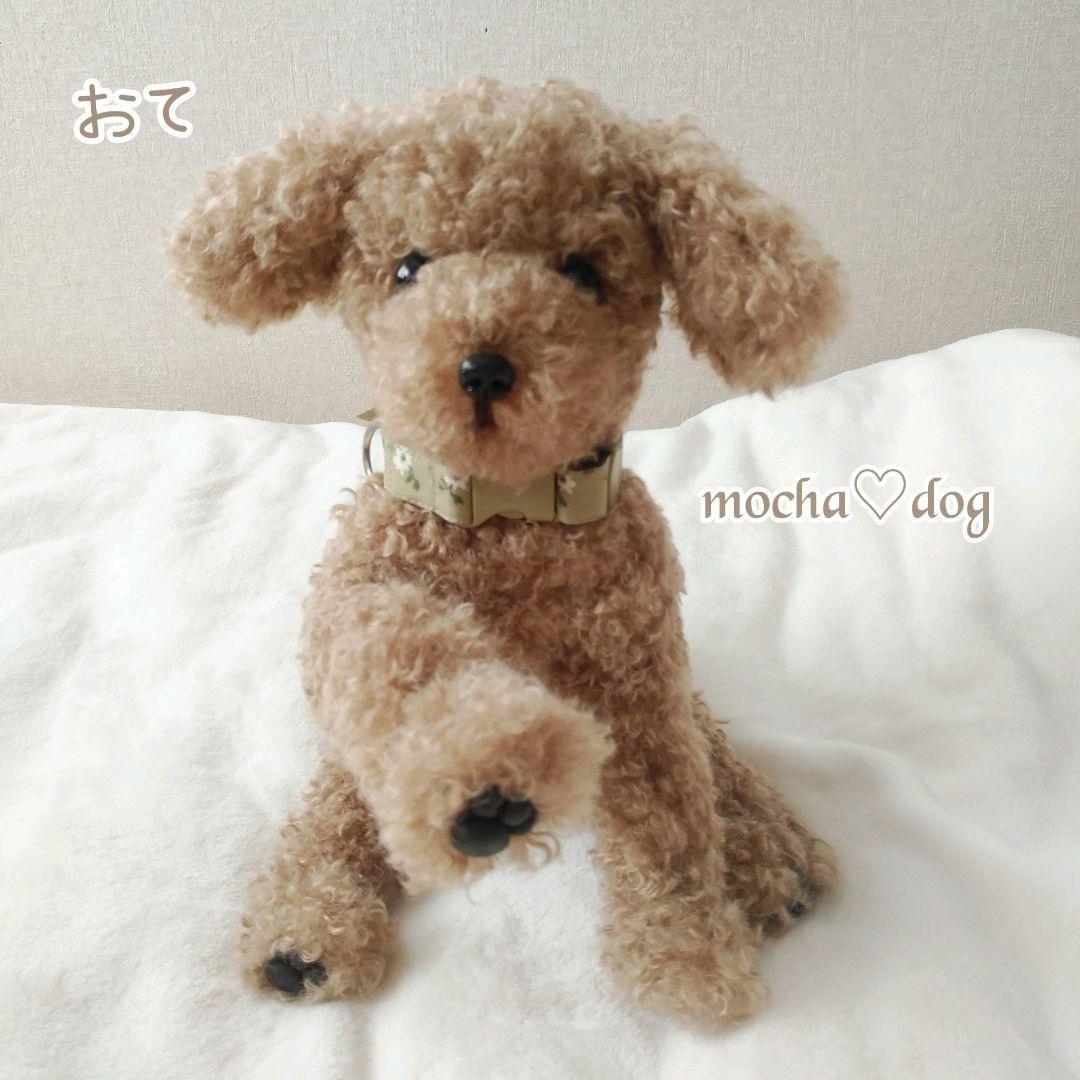 ＊mocha♡dog ＊ プードル(ラテM)☆ぬいぐるみわんこ teddy 犬