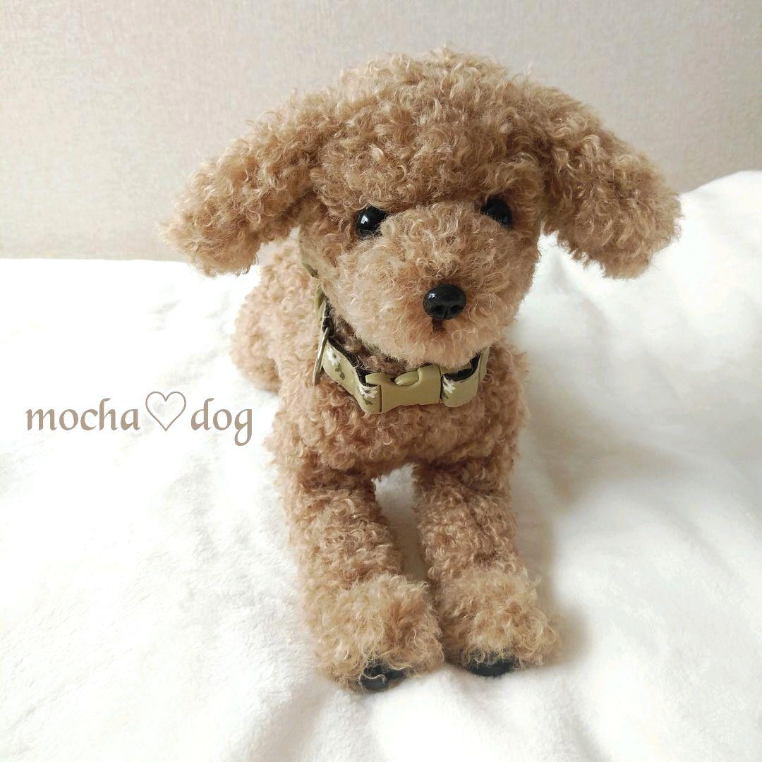 ＊mocha♡dog ＊ プードル(ラテM)☆ぬいぐるみわんこ teddy 犬