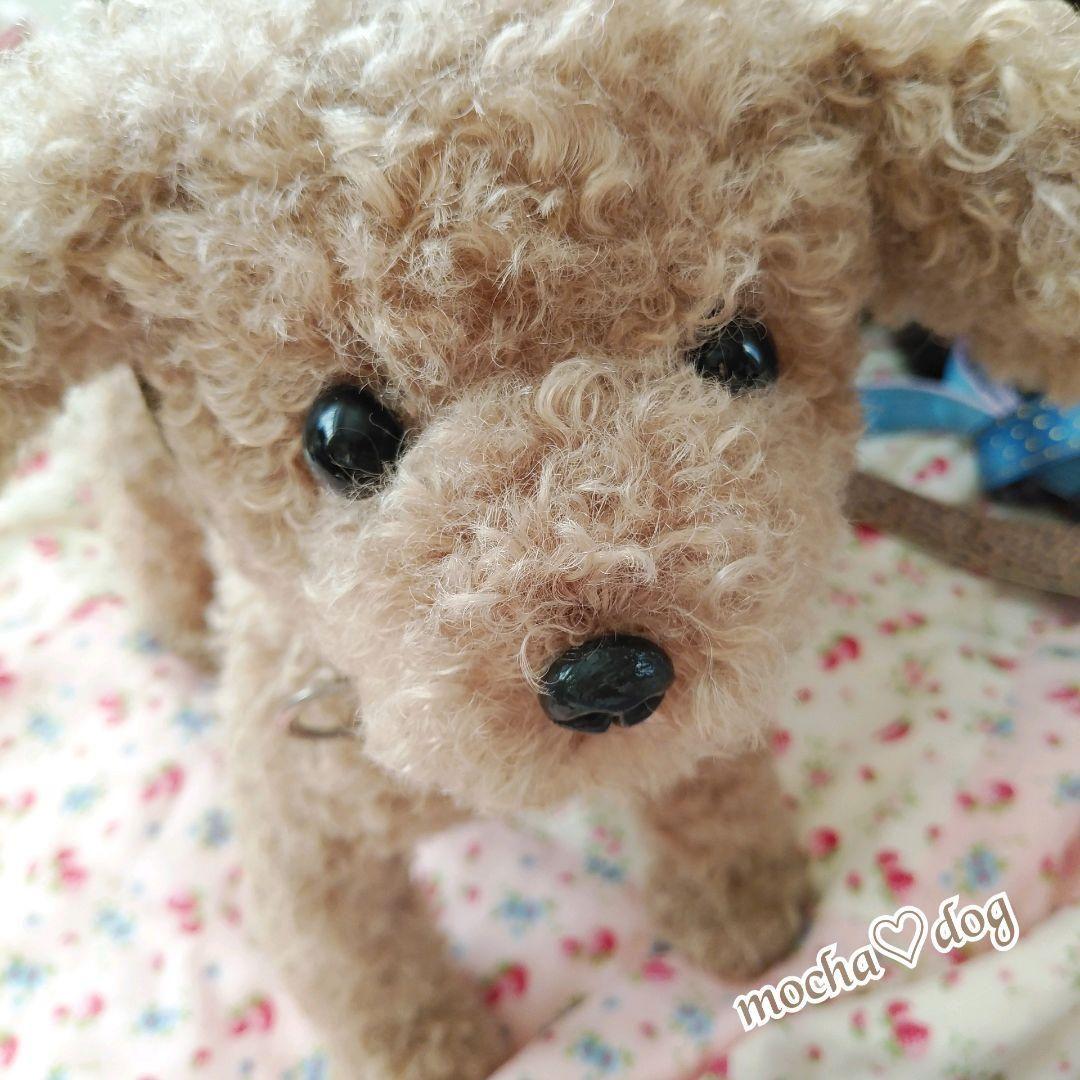 ＊mocha♡dog ＊ プードル(ラテM)☆ぬいぐるみわんこ teddy 犬