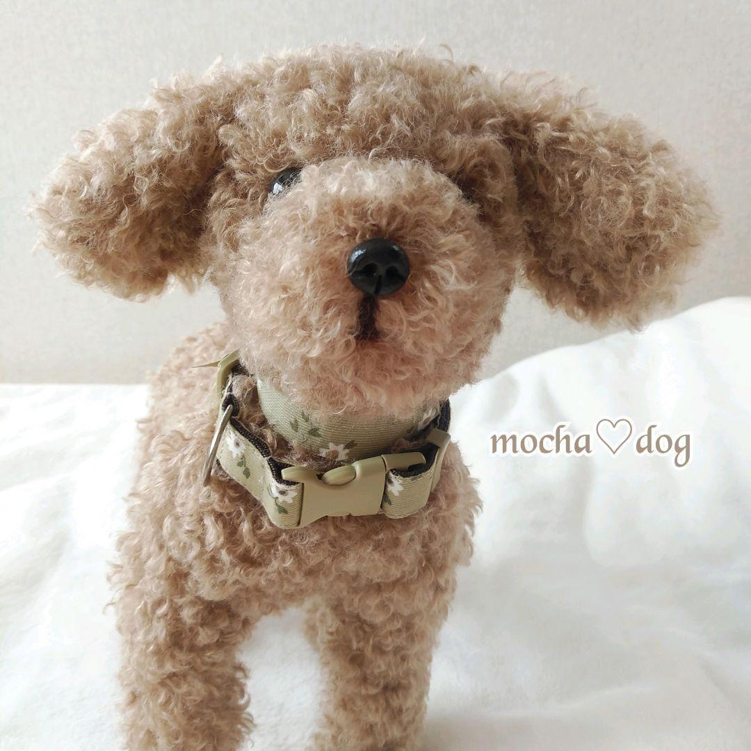 ＊mocha♡dog ＊ プードル(ラテM)☆ぬいぐるみわんこ teddy 犬
