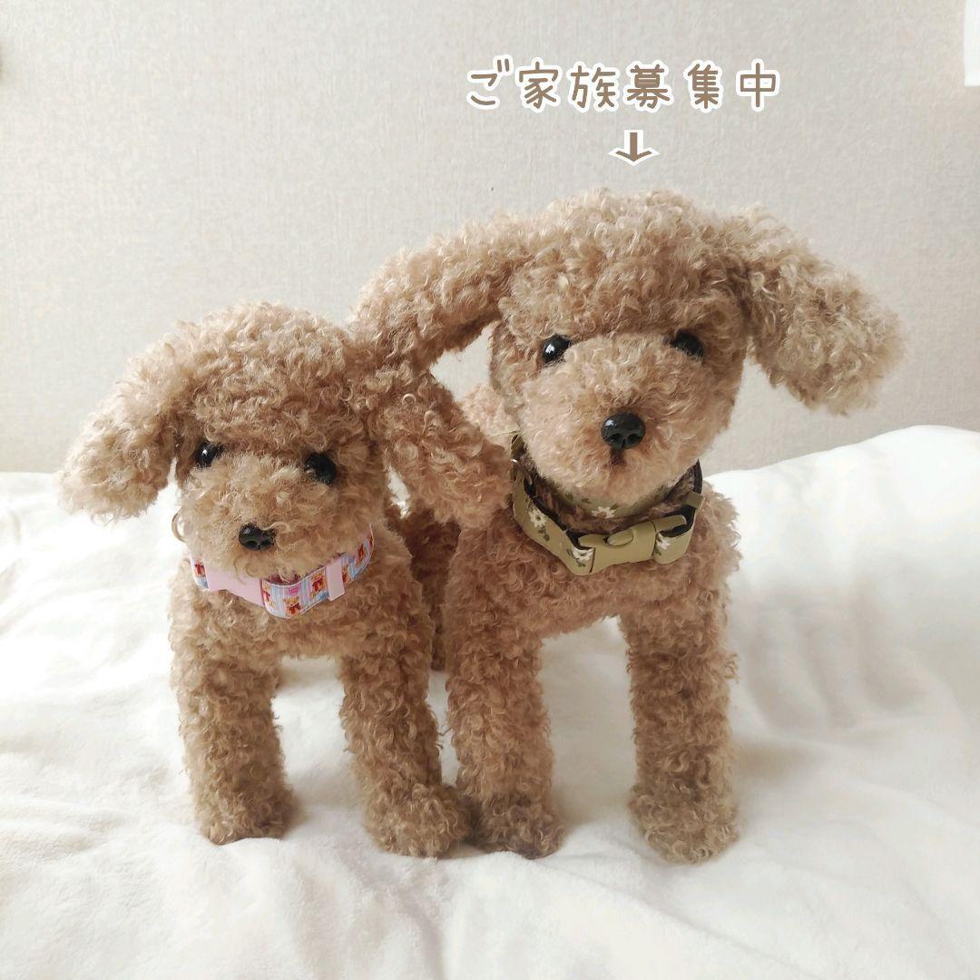 ＊mocha♡dog ＊ プードル(ラテM)☆ぬいぐるみわんこ teddy 犬