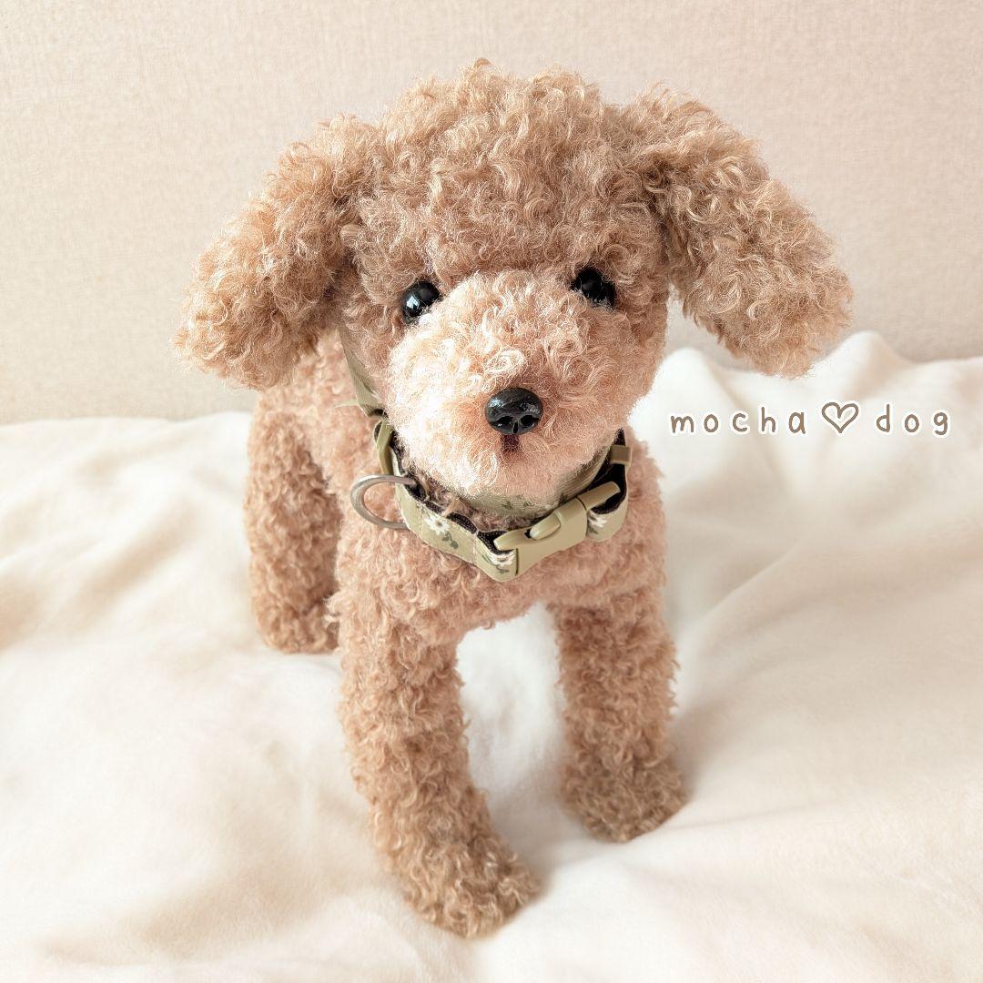 ＊mocha♡dog ＊ プードル(ラテM)☆ぬいぐるみわんこ teddy 犬